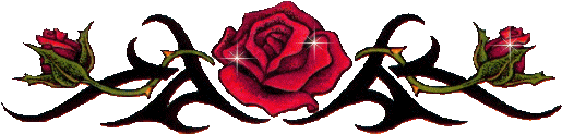 la rose rouge